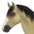 :iconcallistea:
