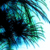 :iconcallisto-x: