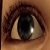 :iconCallMeTheSeeker: