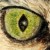 :iconcallypso666: