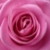 :iconcalm-serenity: