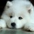 :iconcalmingspirit139: