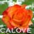 :iconcalove:
