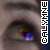 :iconcalymne:
