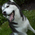 :iconcalyrein: