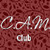 :iconCAM-club: