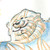 :iconcamad: