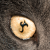 :iconcambridgeblue: