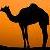 :iconcamelbackkid: