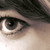:iconcameliasecret: