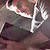 :iconcamelotdesigns: