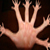 :iconcamelowww:
