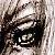 :iconcamen: