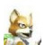 :iconcamer21: