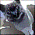 :iconcamera-eats-kittens: