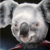 :iconcameron1395: