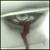 :iconcamerun: