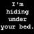 :iconcamillex: