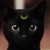 :iconcamimcr: