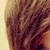:iconcamitutoriales: