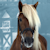 :iconcammie-kins: