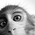 :iconcammonroe: