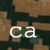 :iconcamobulldog: