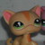 :iconcamolps: