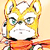 :iconcamosan: