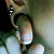 :iconcamsexclick: