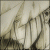 :iconcamway: