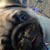 :iconcan-mellie: