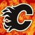 :iconcanadacowboy: