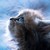 canadian-dewberry :iconcanadian-dewberry: