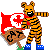 :iconcanadianawesometiger: