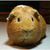 :iconcanadianquadgirl: