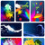 CandiButterfly :iconcandibutterfly: