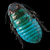 :iconcandied-roach: