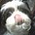 :iconcandifon: