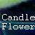 :iconcandleflower: