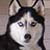 :iconcandy-king: