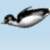 :iconCandy-Matthews: