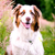 Candy12332 :iconcandy12332: