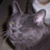 :iconcandyapplesex: