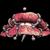 :iconcandycaned: