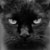 :iconcandycat111: