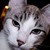 :iconcandycrocodile: