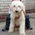 :iconcanghai927: