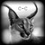:iconcanine-creature: