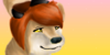 :iconcanine-ocs:
